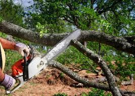 Leaf Removal in West Reading, PA